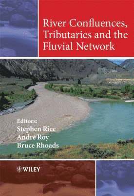 River Confluences, Tributaries and the Fluvial Network 1