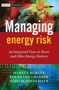 bokomslag Managing Energy Risk