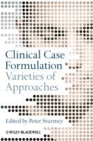 bokomslag Clinical Case Formulation