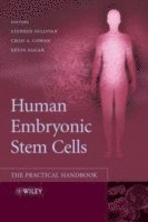 bokomslag Human Embryonic Stem Cells
