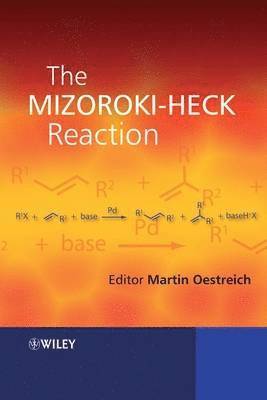Martin Oestreich, Martin (Institut fur Organische Chemie) Oestreich - Mizoroki-Heck Reaction, Inbunden
