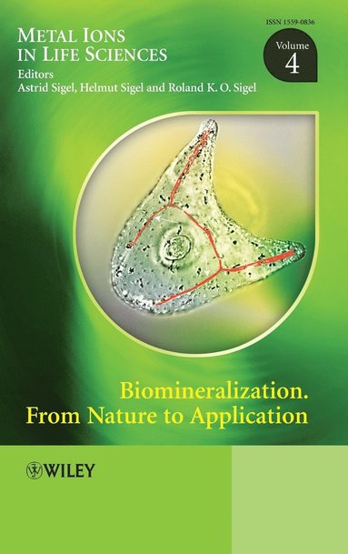 Sigel, Astrid Sigel, Helmut Sigel, Roland K. O. Sigel - Biomineralization, Inbunden