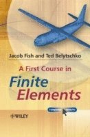 Jacob Fish, Ted Belytschko, USA) Belytschko, Ted (Northwestern University - First Course in Finite Elements, Häftad