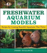 bokomslag Freshwater Aquarium Models