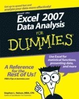 bokomslag Excel 2007 Data Analysis For Dummies