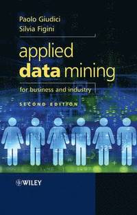 bokomslag Applied Data Mining for Business and Industry