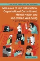 bokomslag Measures of Job Satisfaction, Organisational Commitment, Mental Health and Job related Well-being