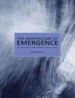 Architecture of Emergence