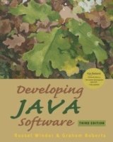 bokomslag Developing Java Software