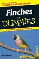 bokomslag Finches For Dummies