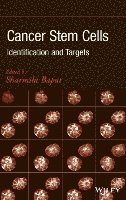 bokomslag Cancer Stem Cells