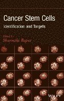 Sharmila A. Bapat - Cancer Stem Cells, Inbunden. Tillgänglighet: Lägg i varukorg