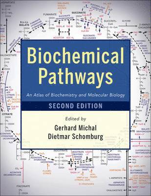 bokomslag Biochemical Pathways