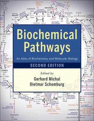 Biochemical Pathways 1