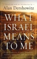bokomslag What Israel Means to Me