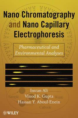 Imran Ali, Hassan Y. Aboul-Enein, Vinod K. Gupta - Nanochromatography and Nanocapillary Electrophoresis, Inbunden