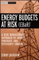 bokomslag Energy Budgets at Risk (EBaR)