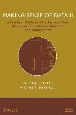 Glenn J. Myatt, Wayne P. Johnson, Glenn J Myatt, Wayne P Johnson - Making Sense of Data II, Häftad
