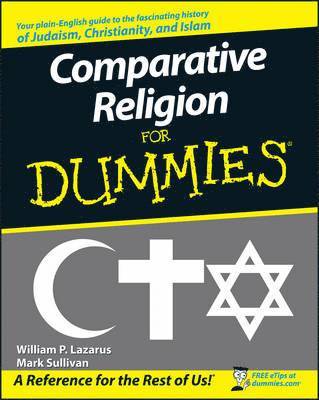 bokomslag Comparative Religion For Dummies