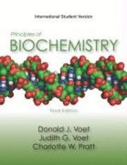 bokomslag Principles of biochemistry - life at the molecular level