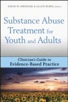 David W. Springer, Allen Rubin - Substance Abuse Treatment for Youth and Adults, Inbunden