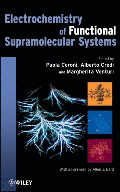 Electrochemistry of Functional Supramolecular Systems 1