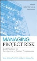 bokomslag Managing Project Risk