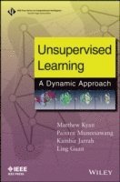bokomslag Unsupervised Learning