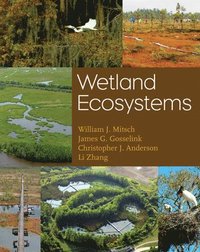 bokomslag Wetland Ecosystems