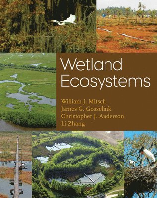 William J. Mitsch, James G. Gosselink, Li Zhang, Christopher J. Anderson - Wetland Ecosystems, Inbunden
