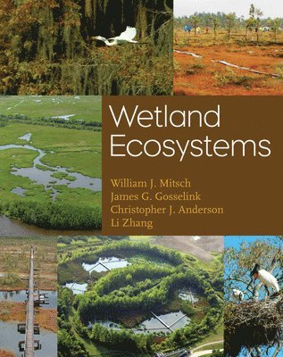 Wetland Ecosystems 1