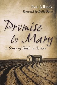 bokomslag Promise to Mary
