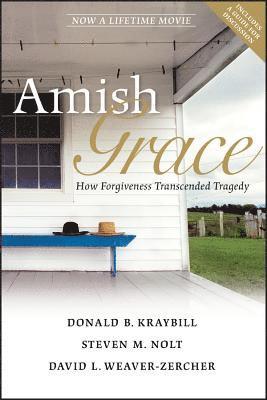 Donald B. Kraybill, Steven M. Nolt, David L. Weaver-Zercher - Amish Grace, Häftad