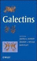 bokomslag Galectins