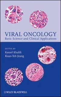 bokomslag Viral Oncology