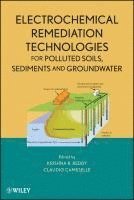 bokomslag Electrochemical Remediation Technologies for Polluted Soils, Sediments and Groundwater