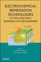 Krishna R. Reddy, Claudio Cameselle, IL) Reddy, Krishna R. (University of Illinois - Chicago, Krishna R Reddy - Electrochemical Remediation Technologies for Polluted Soils, Sediments and Groundwater, Inbunden