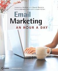bokomslag Email Marketing: An Hour a Day