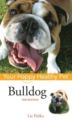 Bulldog 1