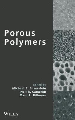 Michael S. Silverstein, Michael S. Silverstein, Neil R. Cameron, Marc A. Hillmyer, Michael S Silverstein, Neil R Cameron, Marc A Hillmyer - Porous Polymers, Inbunden