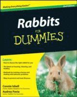 bokomslag Rabbits For Dummies
