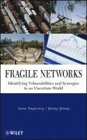 bokomslag Fragile Networks