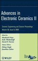 Shashank Priya, Anke Weidenkaff, David P. Norton - Advances in Electronic Ceramics II, Volume 30, Issue 9, Inbunden