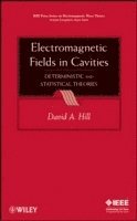 bokomslag Electromagnetic Fields in Cavities