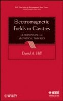 David A. Hill - Electromagnetic Fields in Cavities, Inbunden