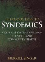 bokomslag Introduction to Syndemics