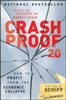 bokomslag Crash Proof 2.0