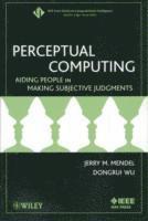 bokomslag Perceptual Computing