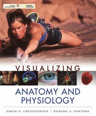 bokomslag Visualizing Anatomy and Physiology