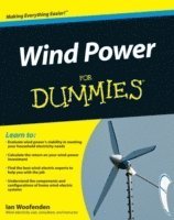 bokomslag Wind Power For Dummies